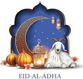 A lamb next to lamps and a quarter moon on a fancy background